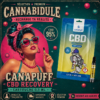 Cartouche CBD 95% Recovery Canapuff – 0,5ml 2 Cartouche CBD 95% Recovery Canapuff – 0,5 ml