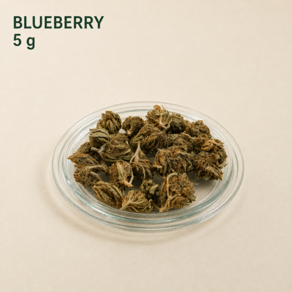 blueberry5b Blueberry CBD Small Buds