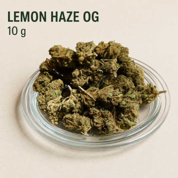 lemon10 Lemon Haze OG CBD Small Buds