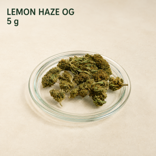 lemon5 Lemon Haze OG CBD Small Buds