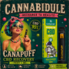 Puff CBD Recovery 95% Canapuff - 1 ml