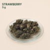 Strawberry CBD Small Buds